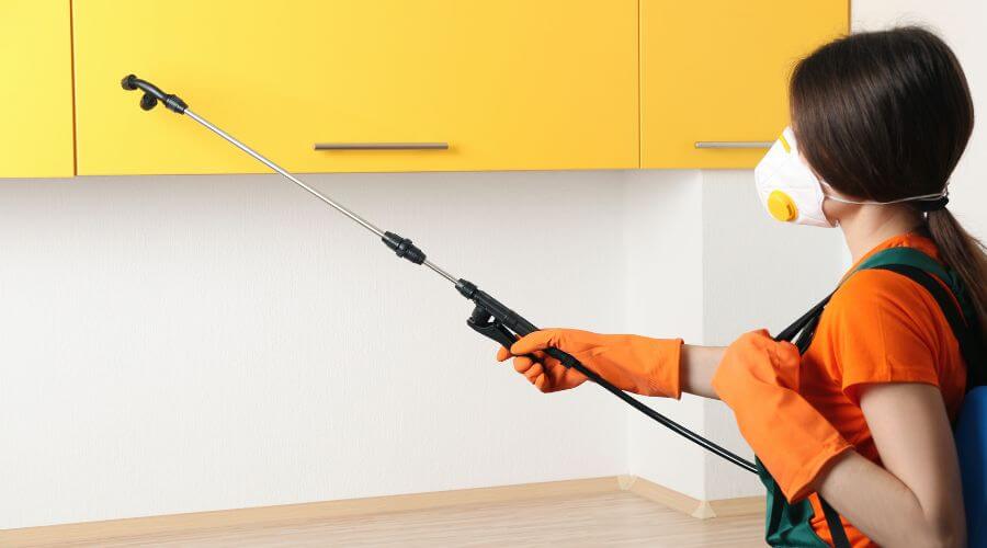 Why choose Plymouth Bed Bug Control Pros for heat treatment for bed bugs plymouth ma in Plymouth